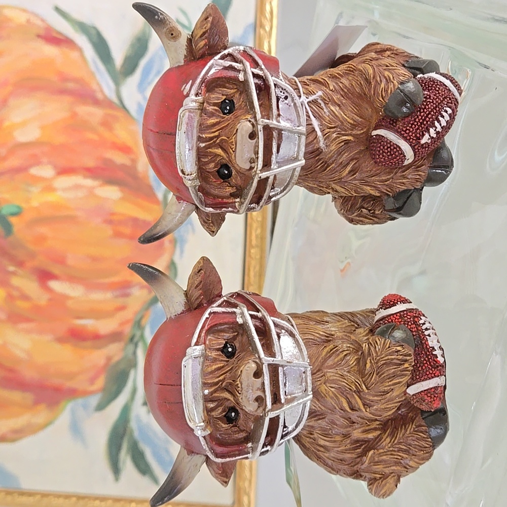 Highland Cows Football Helmet And Footballs New Set Of 2